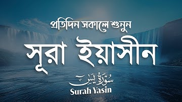 প্রতিদিন সকালে শুনুন – মন জুড়ানো কণ্ঠে সূরা ইয়াসিন | Surah Yasin (سورة يس) | Morning Tilawat