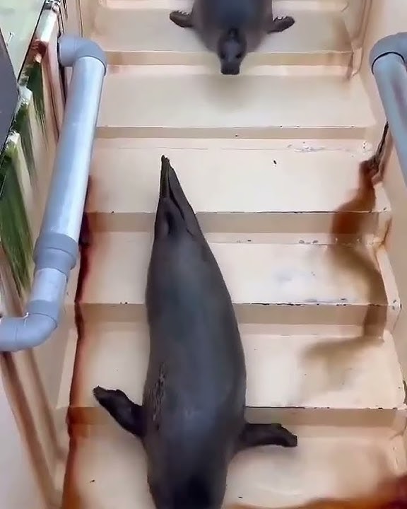 92e8c1c7 713f 4a67 8fd9 8836a4002df5