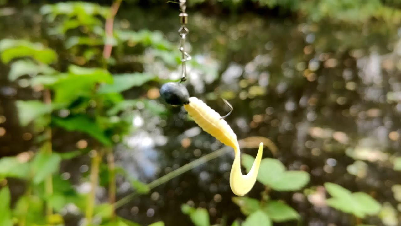 Ultralight Micro Lure Fishing for Perch on the Overgrown Canal!! YouTube