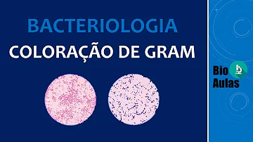 Por que as bactérias Gram-positivas aparecem coradas de azul e as gram negativas de rosa no método de coloração de Gram?