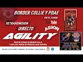 Copa de España de Agility del Border Collie &amp; Perro de Agua Español 2022 (sábado)