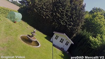 Mercalli proDAD V2 Effect to shaked Videomaterial