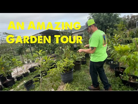 Touring an Amazing 2 acre tropical fruit garden
