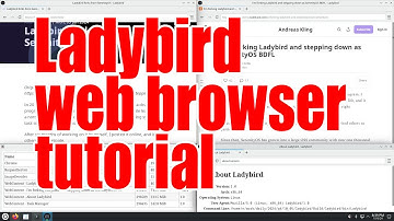Ladybird web browser tutorial - October 2024 - 65f8de5f