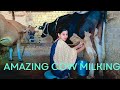 Cowmilking  young cute  indian village girl  cow milking by hand viral villagelifestyle cow