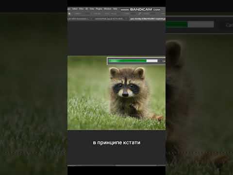Искусственный интеллект в Photoshop