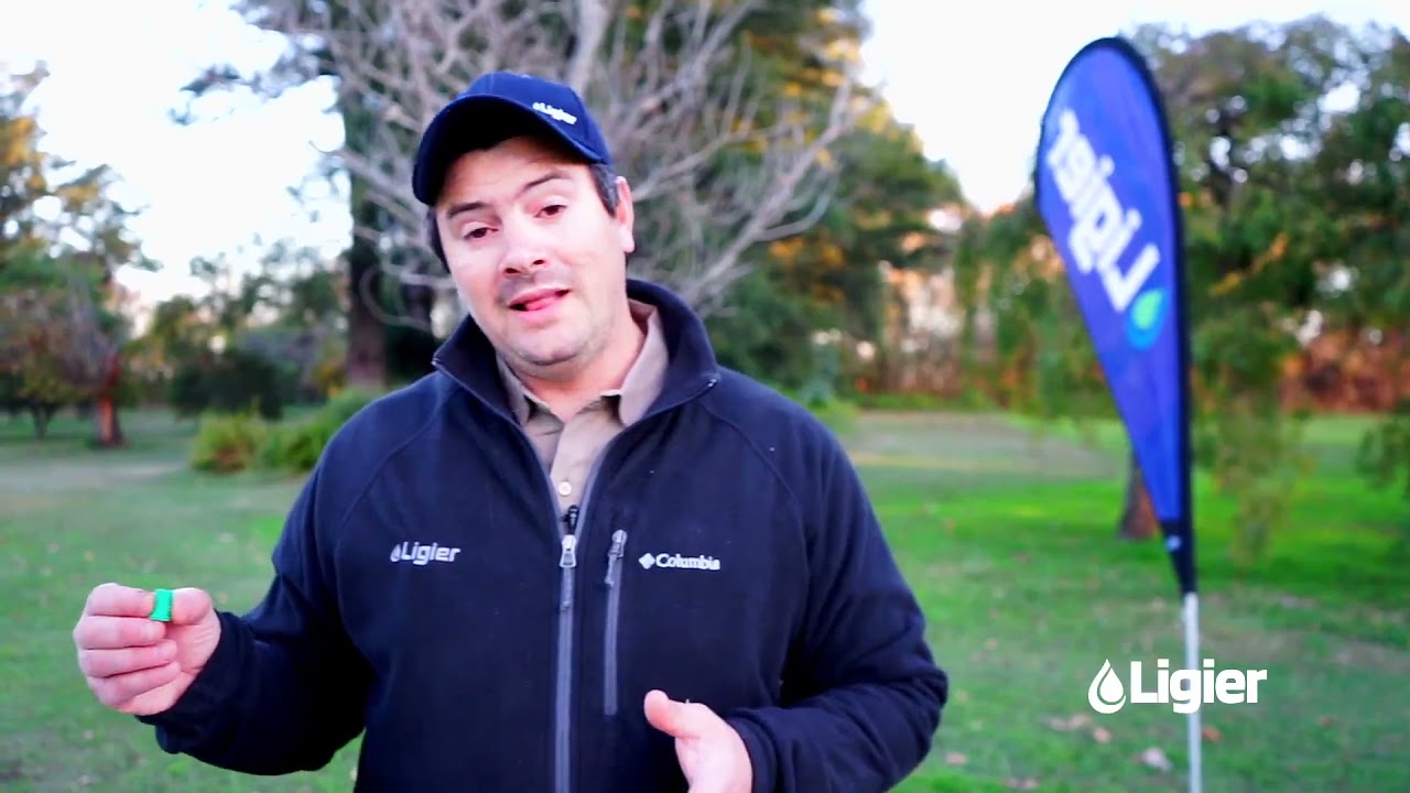 Evaluación de ensayos, tarjetas y control de deriva