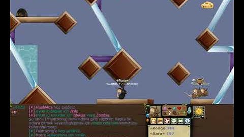 Transformice Pirata 2023-2024 How to play with adobe easy way #transformice #transformicepirata