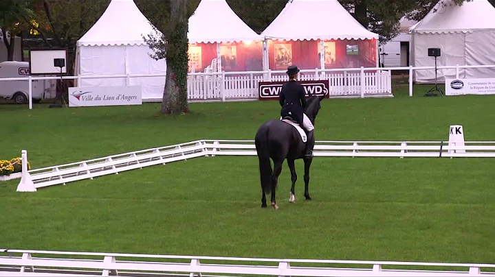 Anna Hilton SWE & Spring Sensation