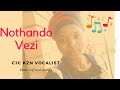 Nothando Vezi Abuse Njalo Official Audio Nothando Vezi Abuse Njalo Official Audio