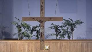 Thursday Sept. 25, 2025, 11am: Joanne Lee Funeral Mass, Immaculate Heart of Mary Parish, Concord NH
