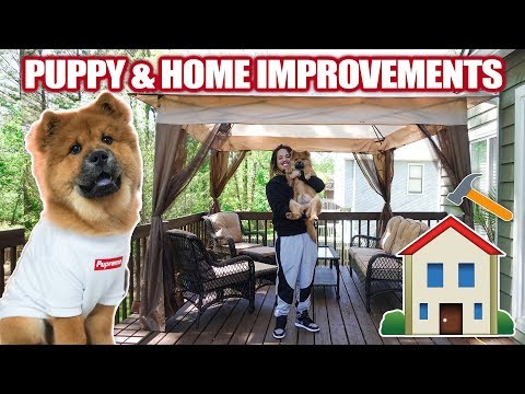 Philippines Expat: Philippines Home Defense System from YouTube · Duration: 2 minutes 37 seconds Philippines Expat: Philippines Home Defense System from YouTube · Duration: 2 minutes 37 seconds