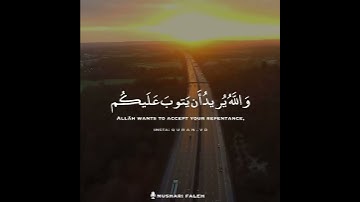 القارئ مشاري فالح (سورة النساء)