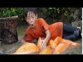 Giant golden carp fishing | Mastering hand fishing techniques, building a bamboo |#camping#fishing
