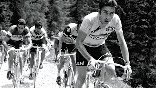 Eddy MERCKX - De Mooiste Momenten