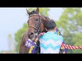 🐎JRA上半期GⅠ総集編🐎