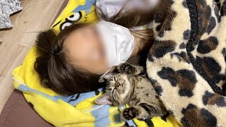 寝る時はいつも飼い主と添い寝しないと眠れない子猫