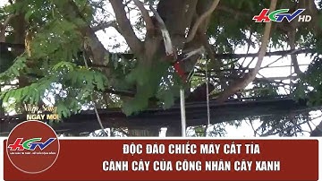 Độc đáo chiếc máy cắt tỉa cành cây của công nhân cây xanh | Truyền hình Hậu Giang