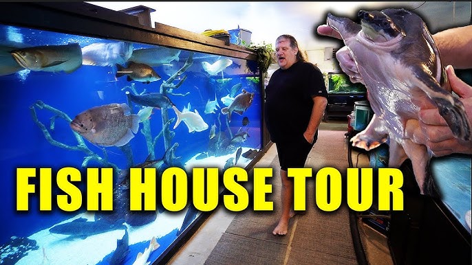 World's LARGEST Monster Fish! FULL Tour at Ohio Fish Rescue 