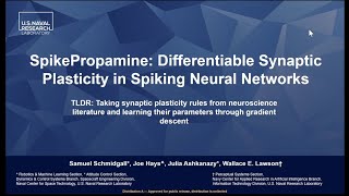 SpikePropamine: Differentiable Synaptic Plasticity in Spiking Neural Networks, Intel INRC Workshop