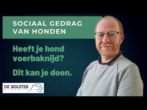 Video: Overproductie Van Rode Bloedcellen Bij Honden