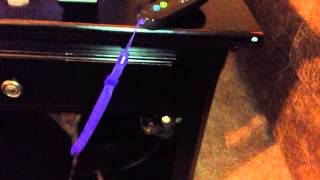 Lady Boo Playing With A String.