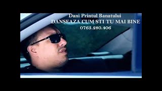 DANI PRINTUL BANATULUI - STAU PRINTRE STRAINI  | Official Audio