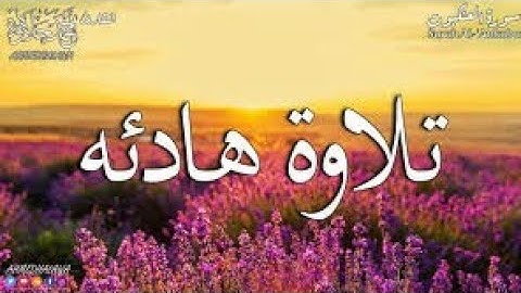 تلاوة رئعة من صلات الوترالشيخ محمد بن عبدالله الأمام