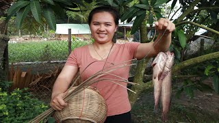 Cooking sour soup with snakehead fish recipe-Braised snakehead fish peaceful life in rural Vietnam