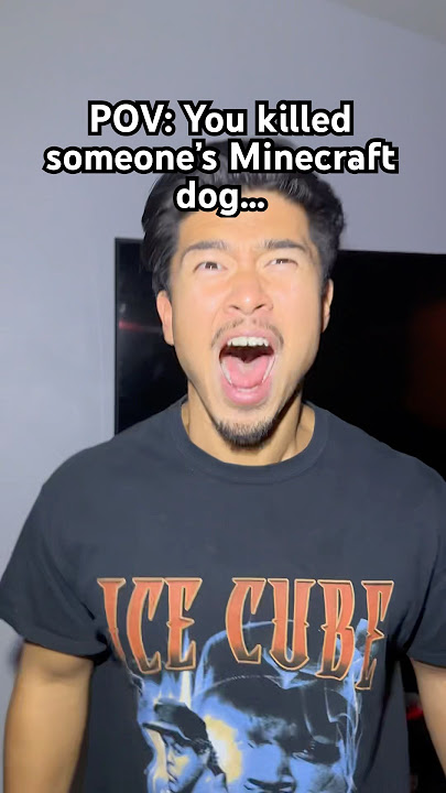 POV: You killed someone’s Minecraft dog… #theboys #viral #shorts #minecraft
