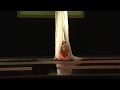 Воздушная гимнастка на полотнах Виолетта Ким, Тверская обл., г.Кокаково, цирк "Фантазёры"