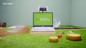 #16HoursUnplugged #ASMR Kicking Back with Cute Animals for 16 Hrs | ASMR | Acer