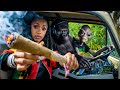 Ganja Roots Reggae Meditation Journey Deep Roots Spiritual Harmony Connection