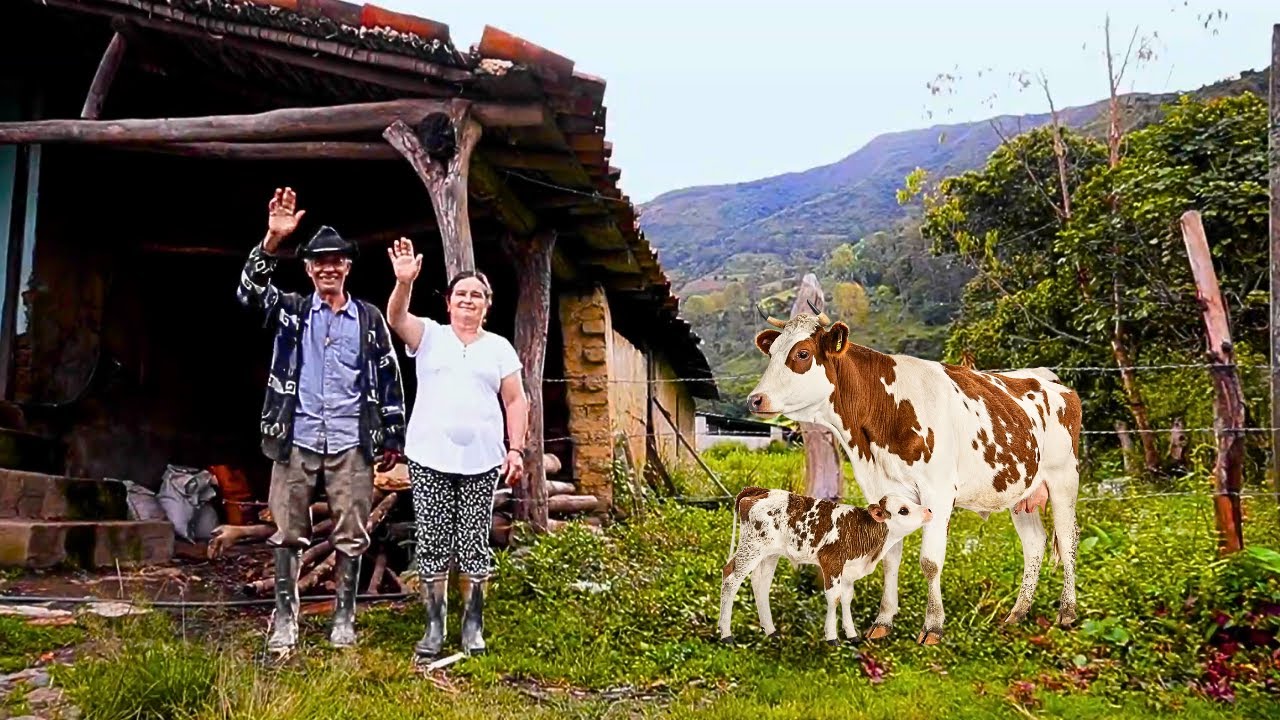 Diego Vergara - Amorcito mío