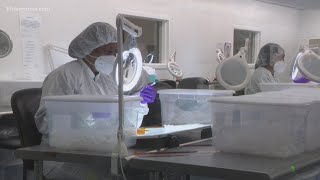 Virginia Tech spearheads biotech initiative
