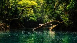 Ambient Meditation Number.