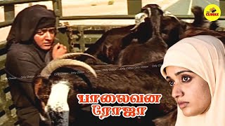 Palaivana Roja Full Movie HD | Kavya Madhavan Struggles in Saudi Arabia @onlyclimax