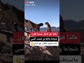 ماهمني نبح الكلاب 