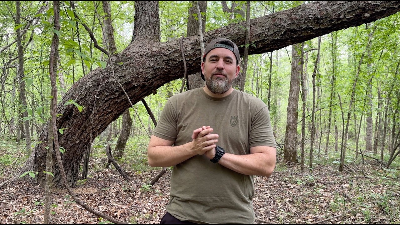 Finding the Perfect Hobbit Thinking Tree - YouTube