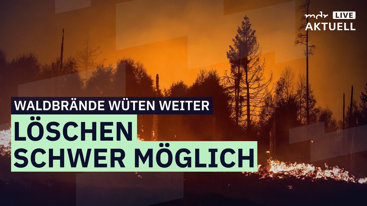 Kriegsmunition bremst Feuerwehr in Sachsen und Thüringen aus | MDR AKTUELL live