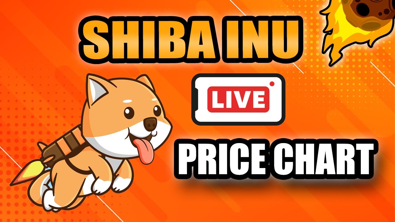 live price of shiba inu coin