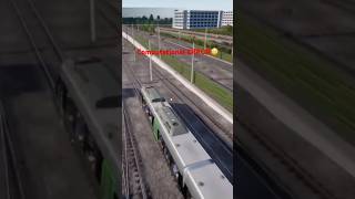 A specific example or input of a problem that requires a solution. #TRAIN SIM WORLD