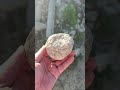 quartz #quartz #mining #gold #treasure