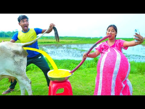 Very Special Trending Funny Comedy Video 2025 😂Amazing Funny Video 2025 Episode 203 Busy Fun Ltd