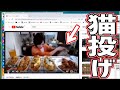木下ゆうかが猫を投げるシーンをジャッジする加藤純一【2019/01/11】