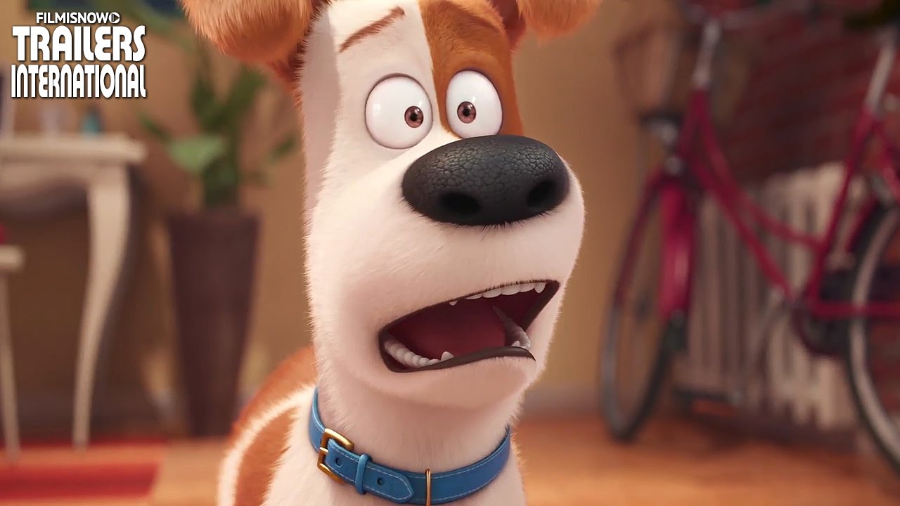 Cachorro max Clearance