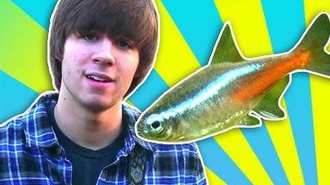 R.I.P. PABLO - Music Video