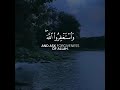 أجمل حالات واتس اب قرآن كريم بصوت عبدالرحمن مسعد صوت خاشع يريح القلب