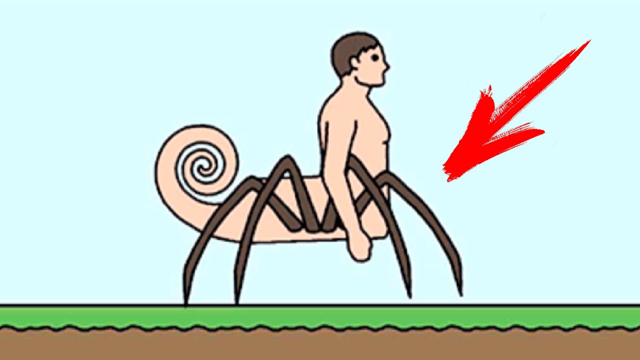  Husbandry YouTube