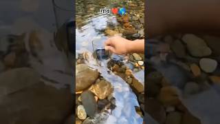 farming reels ❤️🌍 #song #farming #khetibadi #dailyshorts #virulshorts